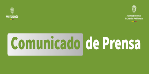 Declaraciones oficiales de la ANLA