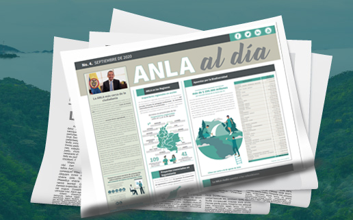 Ingrese a ver la edición número 4 del boletín ANLA al día