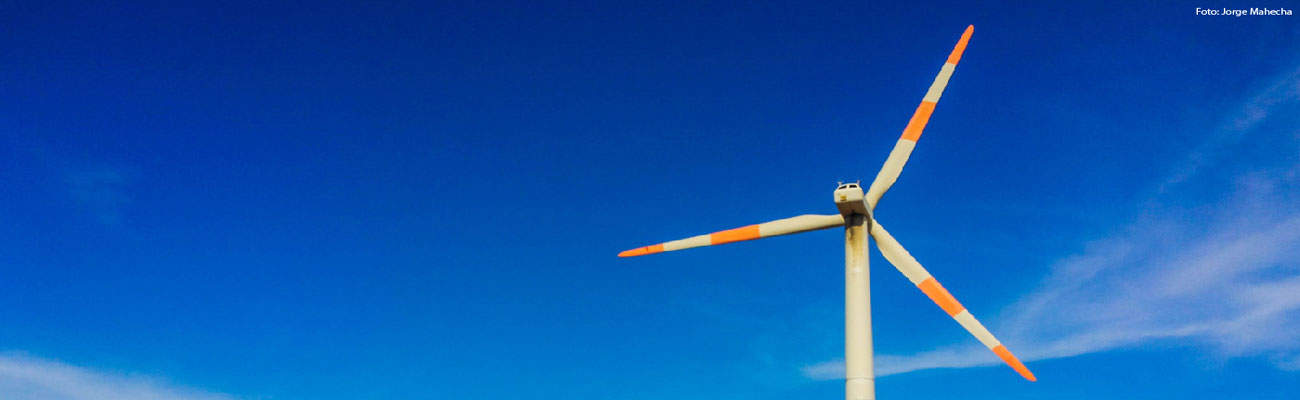 La ANLA otorgó licencia a proyecto de generación de energía eólica en La Guajira