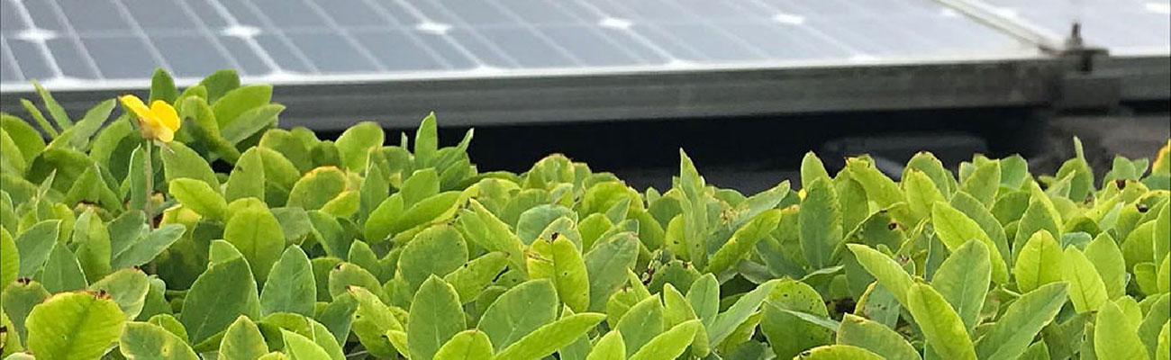 Con acreditación de la ANLA se aprovecharán 249 mil toneladas de residuos sólidos al año