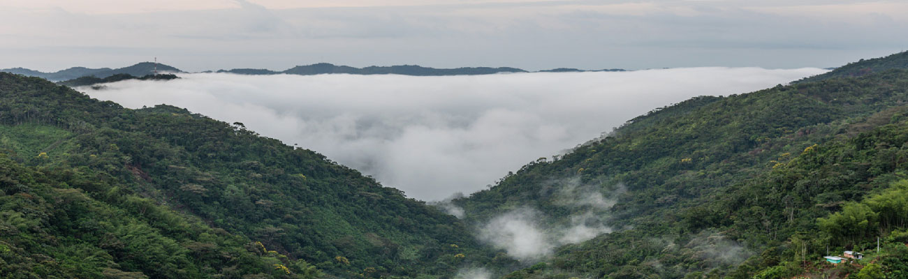 Reforma al Sistema Nacional de Regalías aprobó recursos permanentes para la evaluación y el monitoreo del licenciamiento ambiental