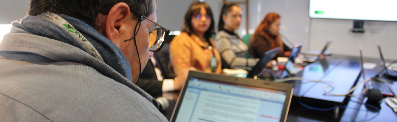 La ANLA hace seguimiento a proyectos de energía, minería, hidrocarburos e infraestructura