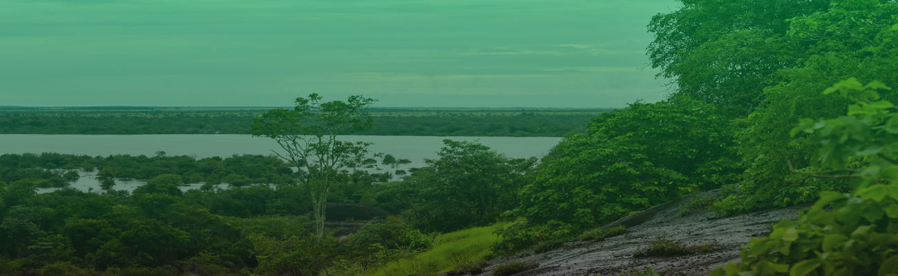 La ANLA precisó alcance del artículo 321 del Plan Nacional de Desarrollo con gremios