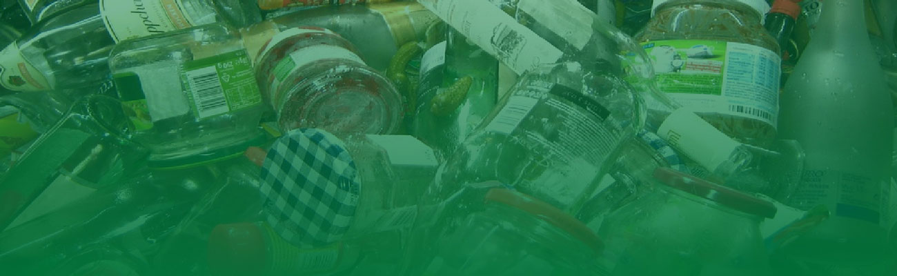 royectos piloto y requisitos de las empresas transformadoras