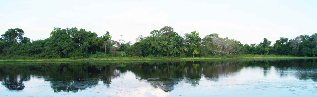 SIPTA pone en marcha el instrumento de obligaciones mínimas