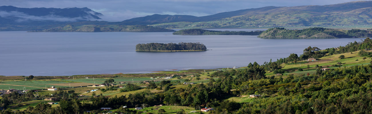 Incentivos tributarios Ley 1715 de 2014 – ajustes Plan Nacional de Desarrollo Ley 1955 de 2019 y Decreto 2106 del 22 de noviembre de 2019