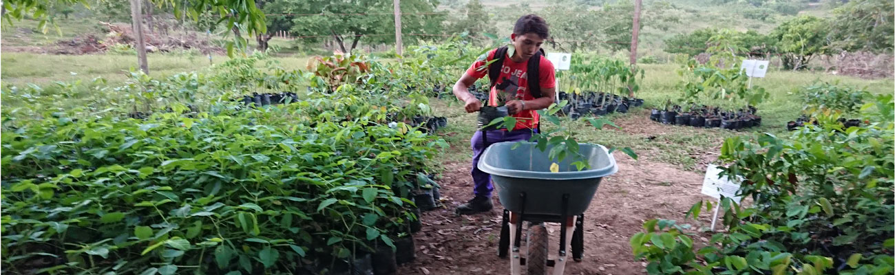 La ANLA en mejora continua