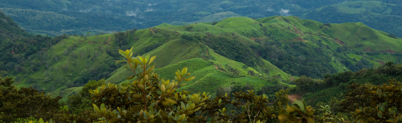 La ANLA modifica las tarifas para el cobro de algunos de sus servicios