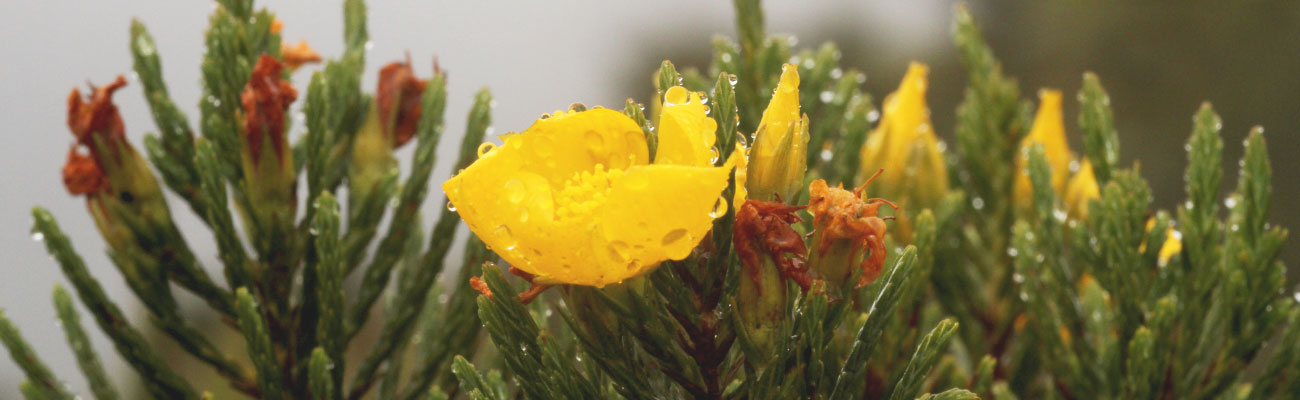 ANLA presentó su Informe de Sostenibilidad GRI 2019