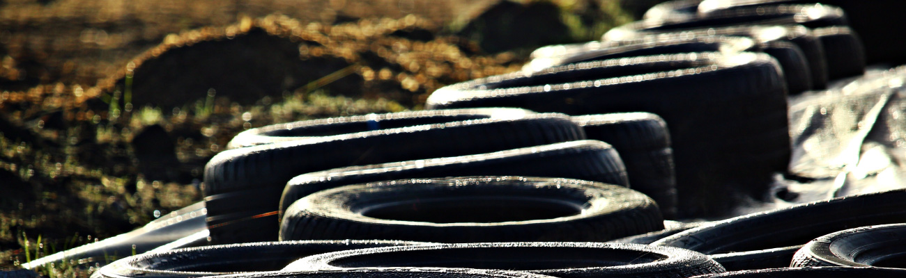 La ANLA a la vanguardia con la racionalización de trámites