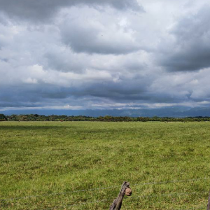 Área de Desarrollo Llanos 141