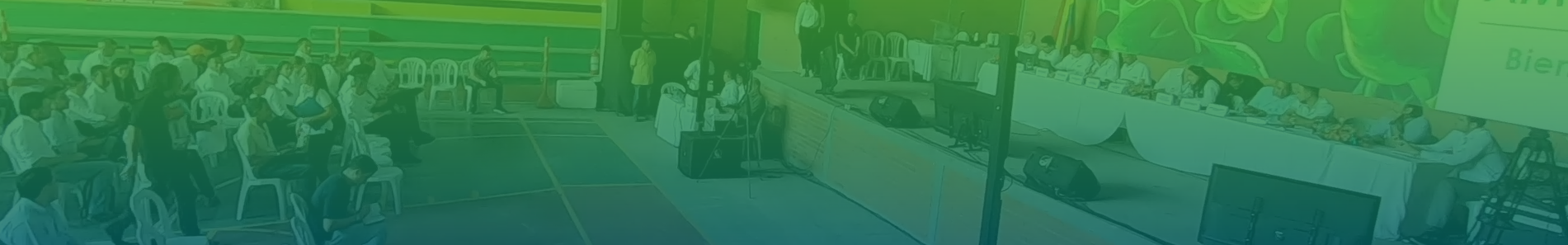 Terceros Intervinientes