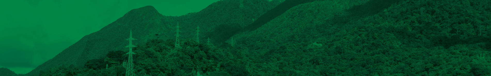 Participación en las Visitas Técnicas de Seguimiento 