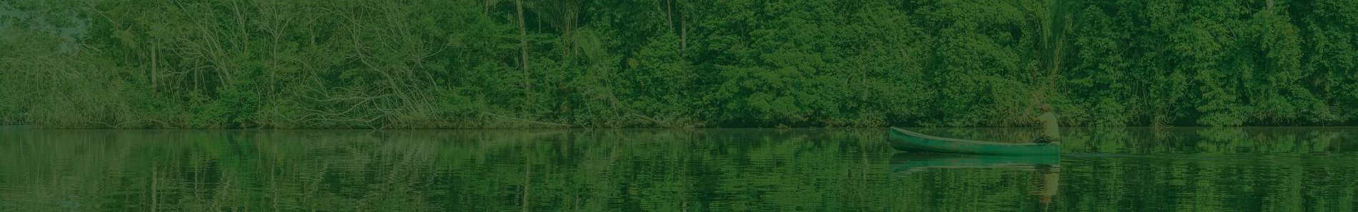 Presupuesto Participativo