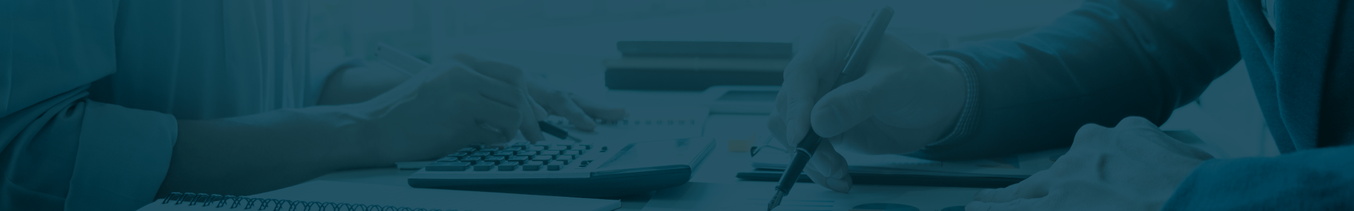 Presupuesto Participativo