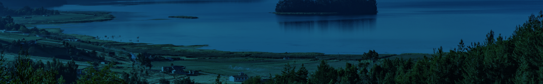 Estrategia de Presencia Territorial