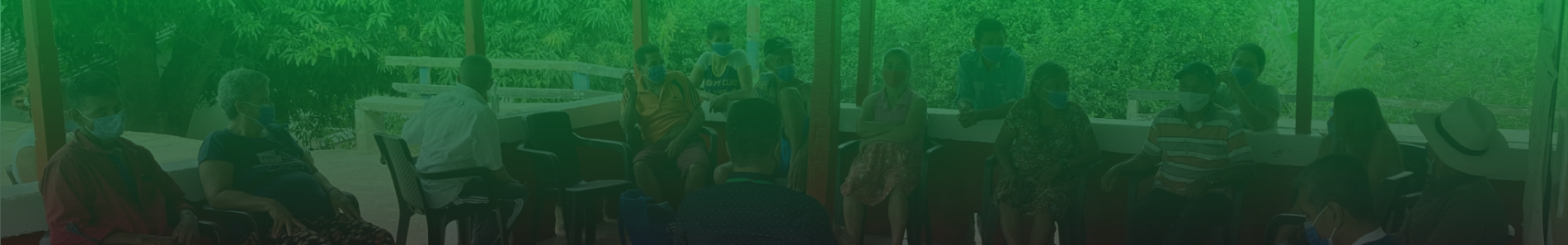 Terceros Intervinientes