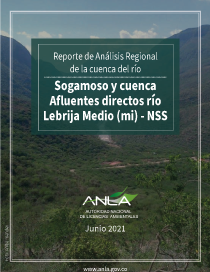 Reporte de Análisis Regional de la cuenca de río Sogamoso y cuenca Afluentes directos río Lebrija Medio (mi) - NSS