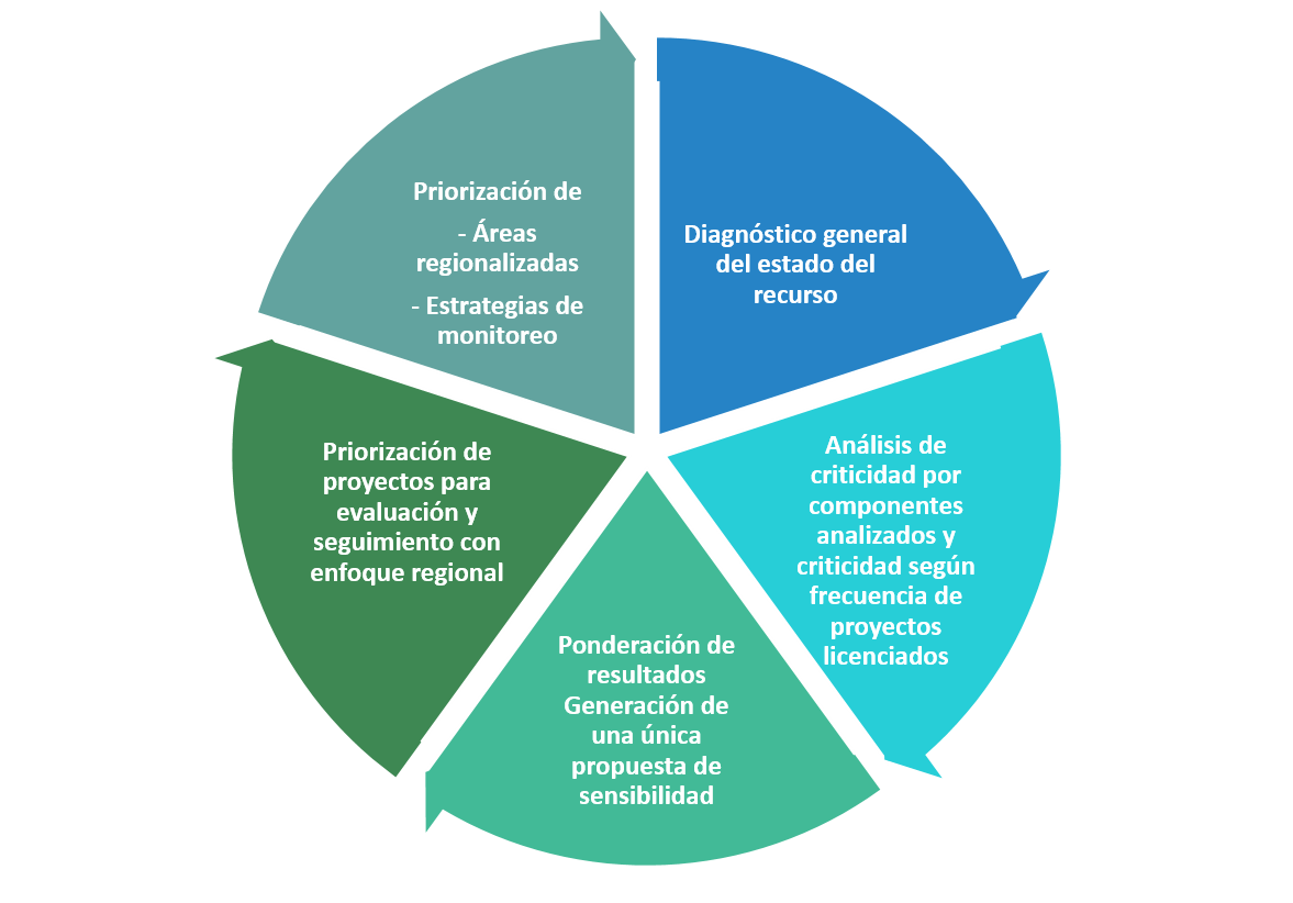 proceso de la metodologia de sensibilidad ambiental regional