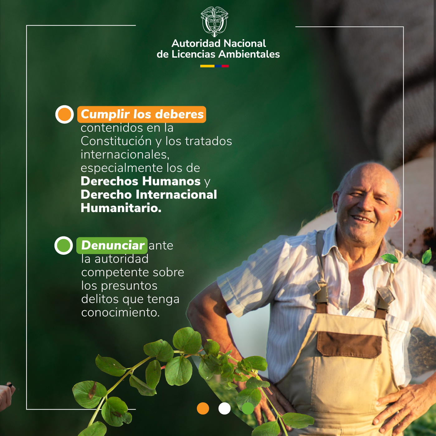 Banner Mecanismos del Estado 3