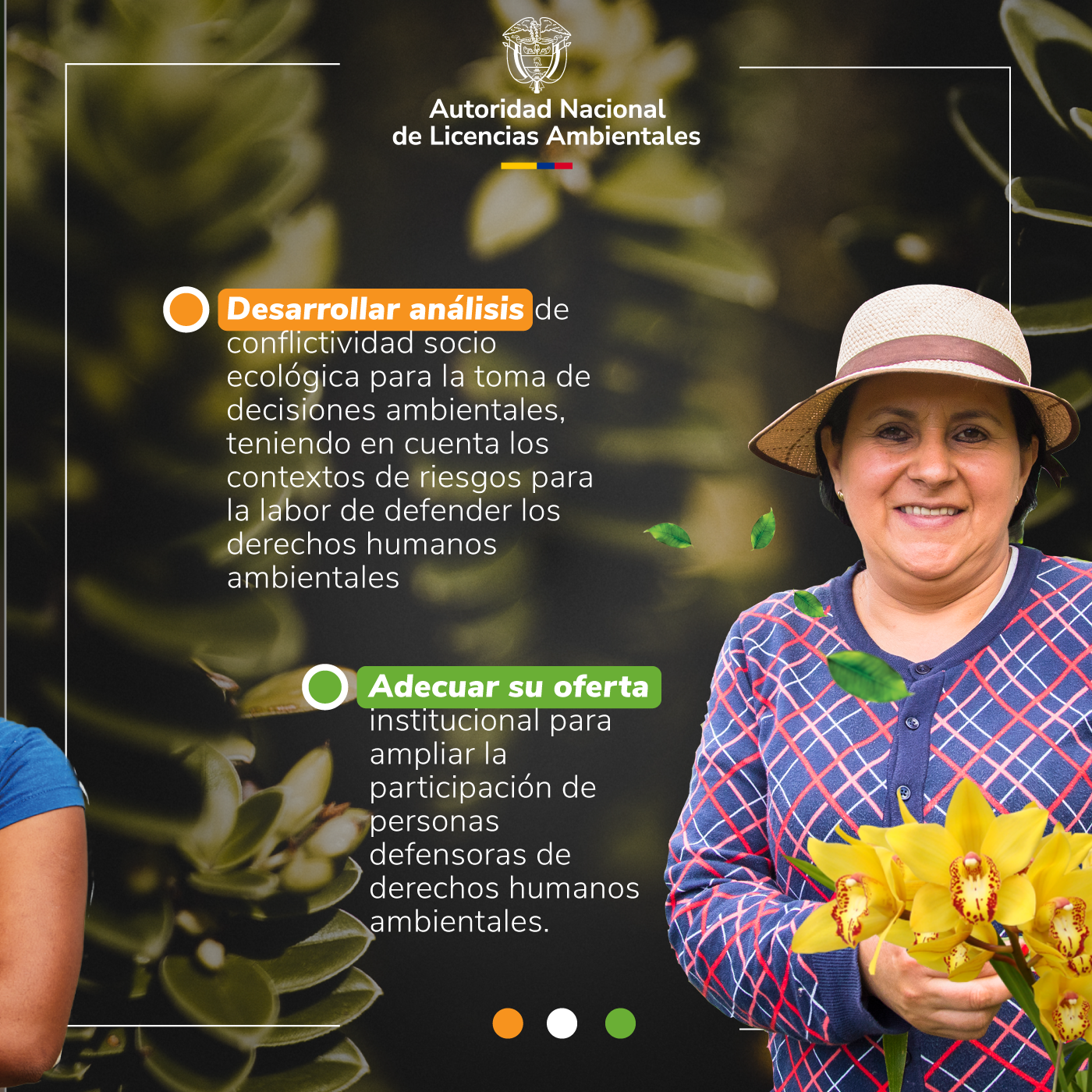 Banner Rol de la ANLA 3