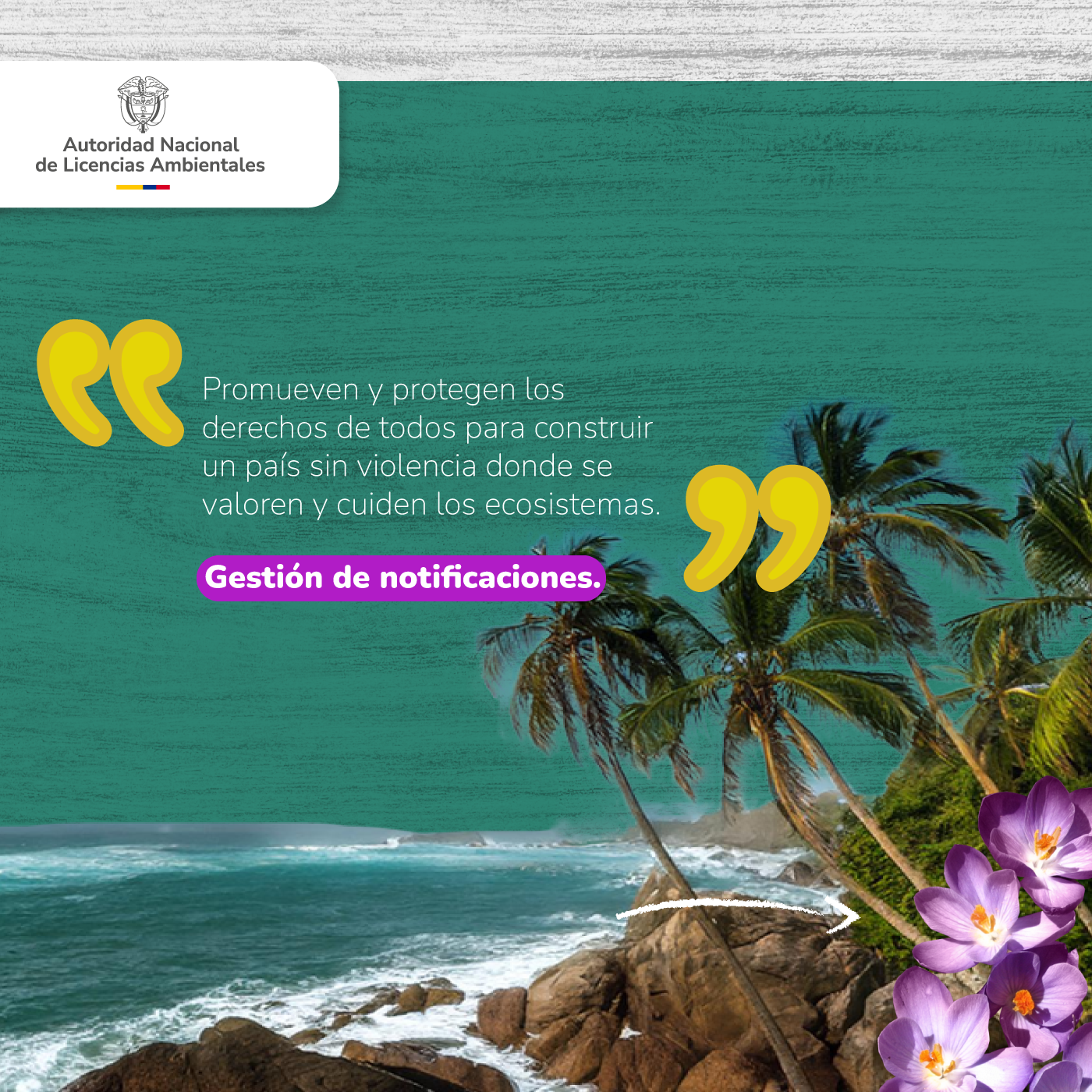 Banner Voces de Personas Colaboradoras de la ANLA 3