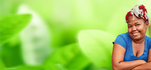 Acceso a la información ambiental