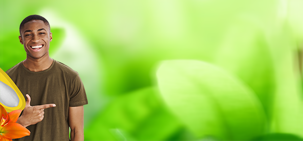 Participación en la toma de decisiones ambientales