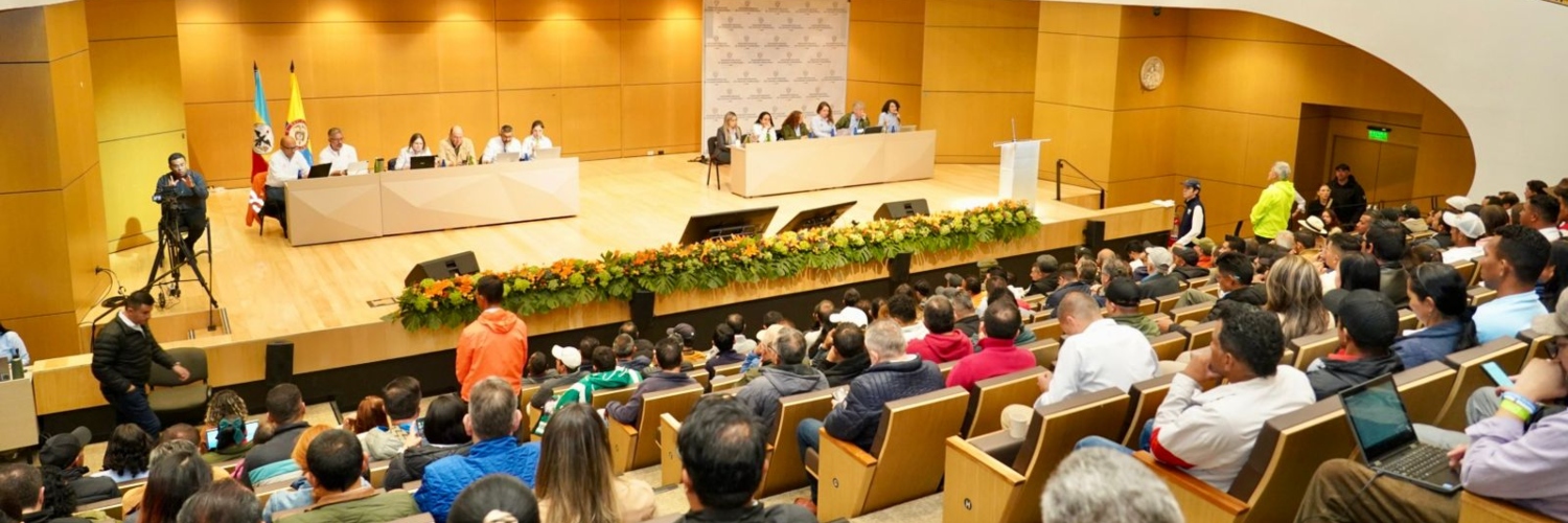 Imagen de la APA del Proyecto Troncal de los Andes