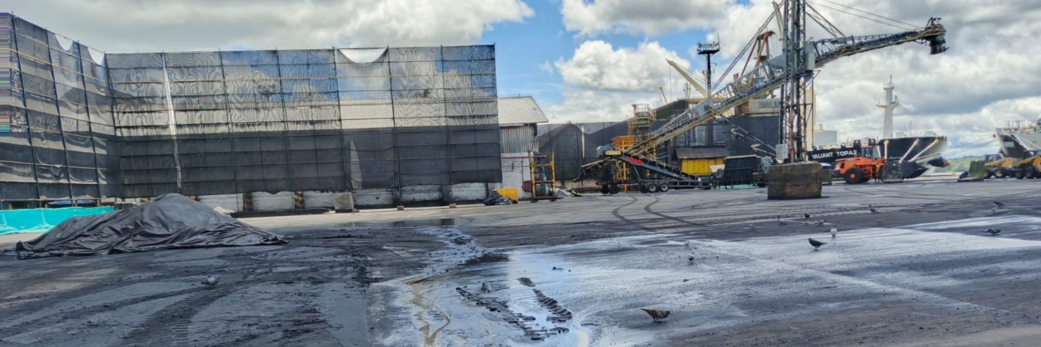 ANLA ratifica que tiene competencia ambiental en la operación del Muelle 13 de Buenaventura al tratarse de un puerto de gran calado