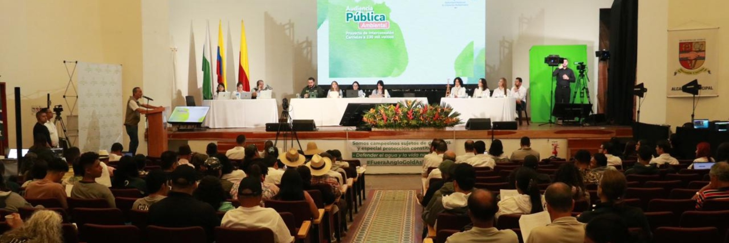 Banner auditorio con personas en Audiencia Pública Ambiental del proyecto Interconexión eléctrica Carrieles