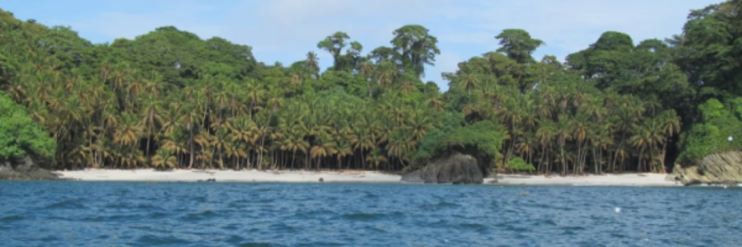 Imagen de la Isla Gorgona