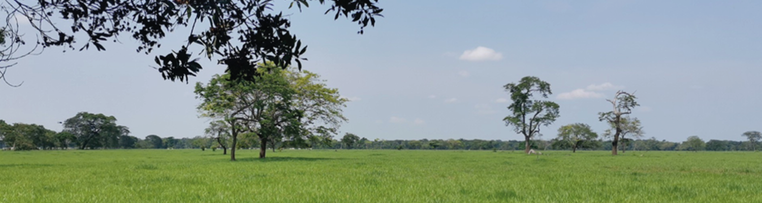 imagen panoramica de zona de influencia del proyecto denominado “Campos de Producción Castilla y Chichimene”