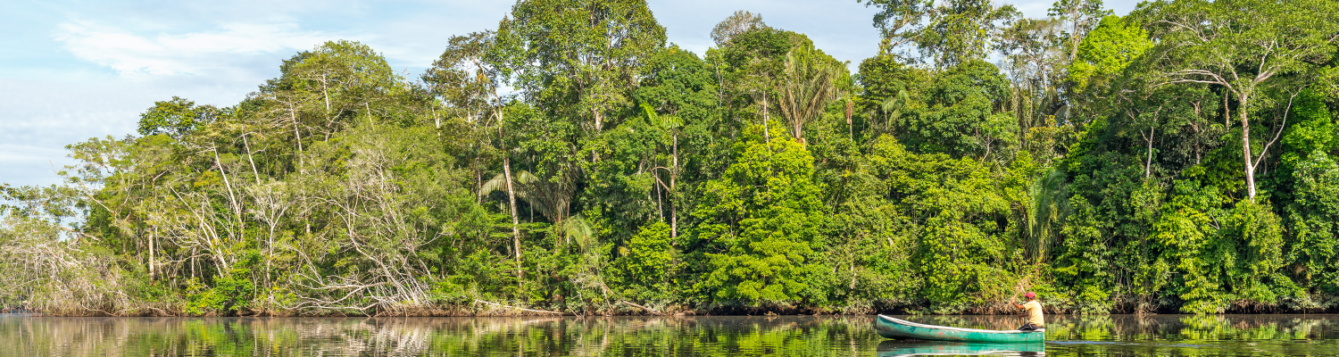 Día Nacional de la biodiversidad