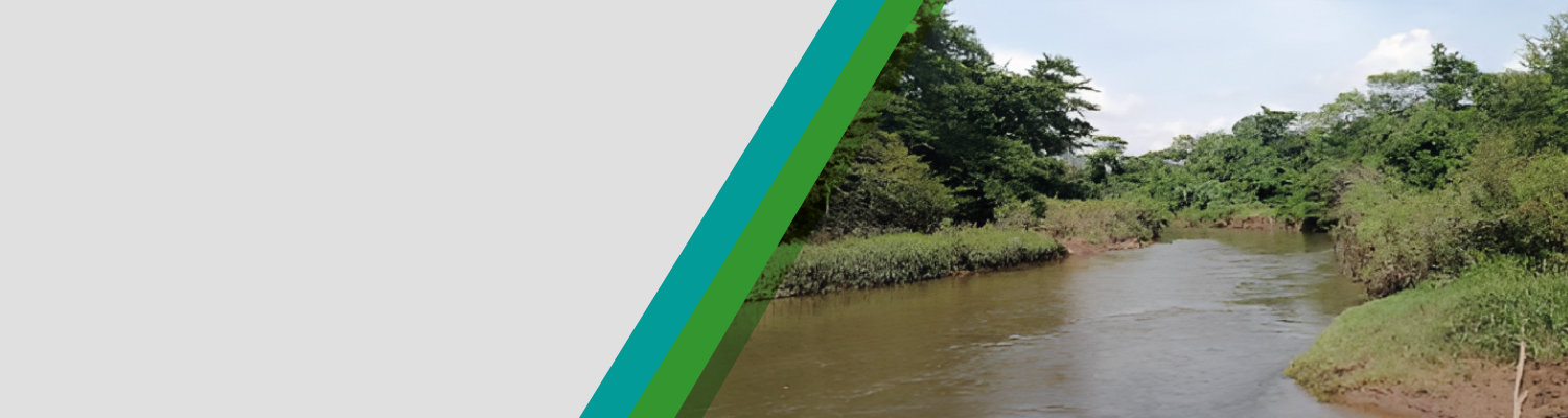 composición de imagen con el río Ranchería y el aljibe de fondo, arbustos en la orilla y un fondo gris a la izquierda