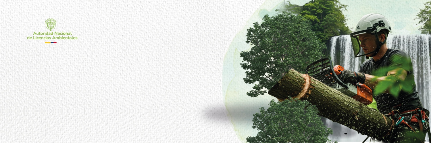 Conozca en qué casos la ANLA otorga permisos ambientales