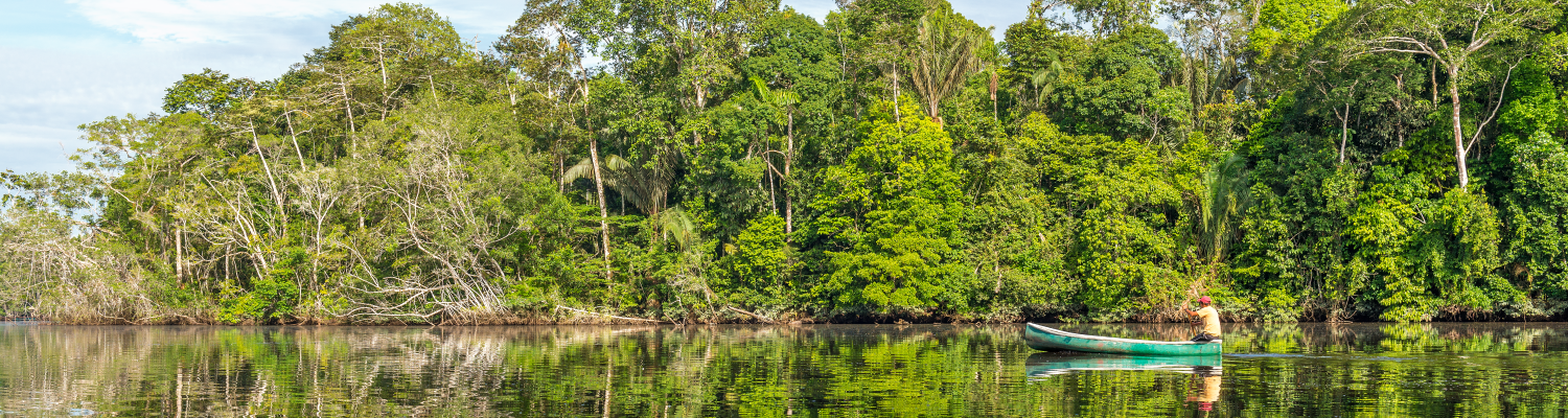 Hombre remando en rio tranquilo en el fondo espeso bosque