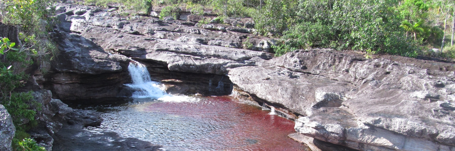 Imagen de Caño Cristales Cortesía de Parques Nacionales.