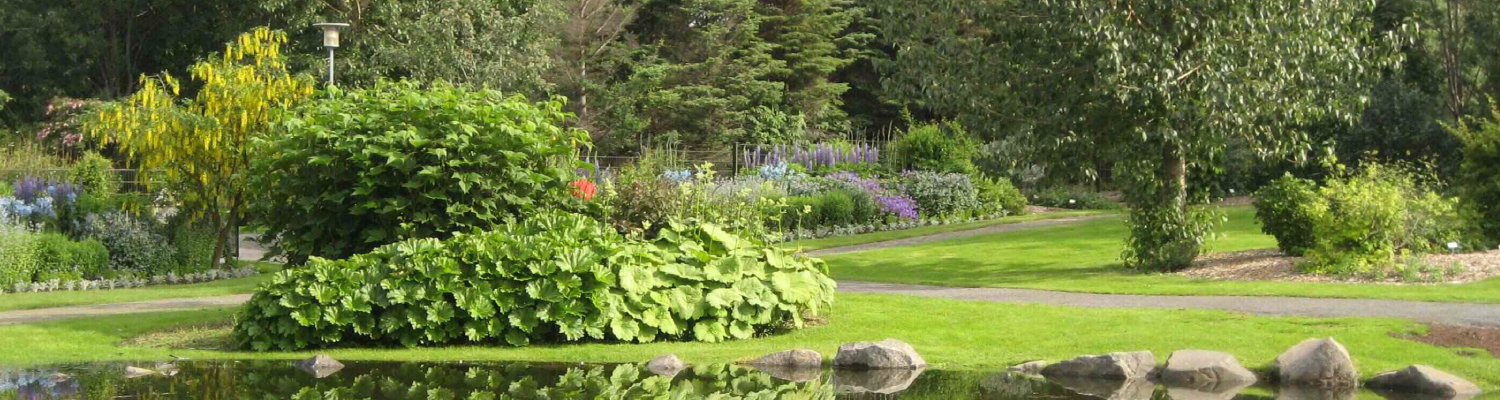 Imagen jardin botanico