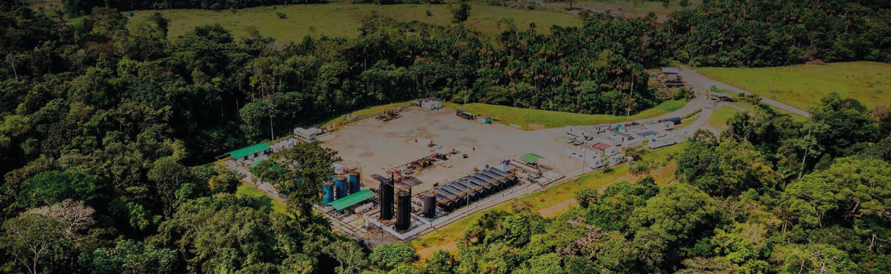 Audiencia Pública Ambiental - Área de Desarrollo Bienparado, Bloque PUT 8 - (Julio 8 de 2023)